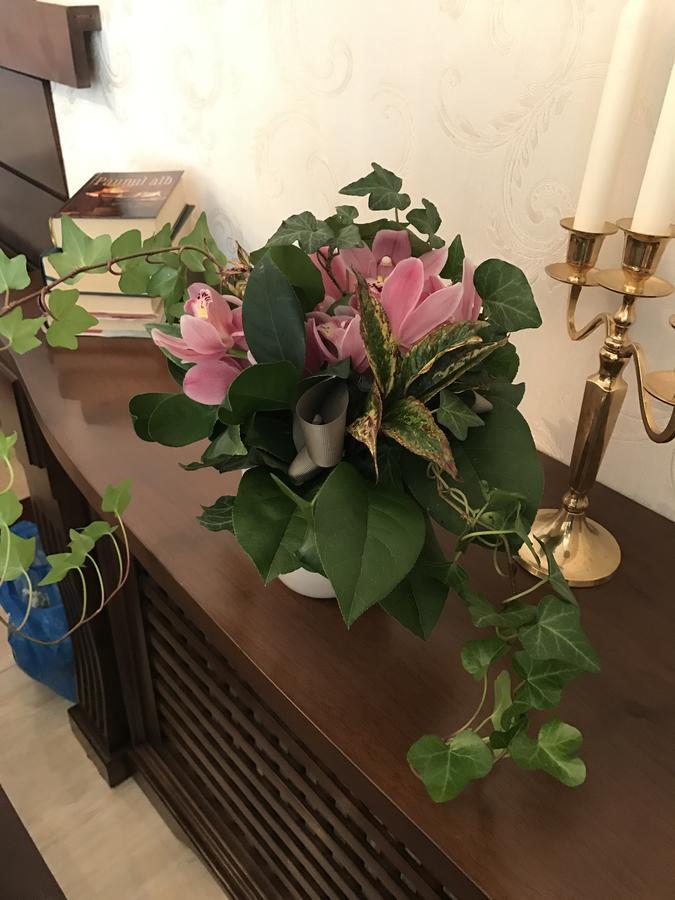 Hotel Boutique Belvedere Синая Экстерьер фото